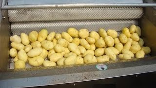 Máy bóc và làm sạch vỏ khoai tây