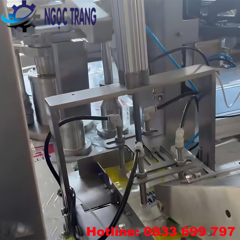 Máy đóng gói túi rời