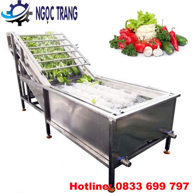 Máy rửa rau công nghiệp