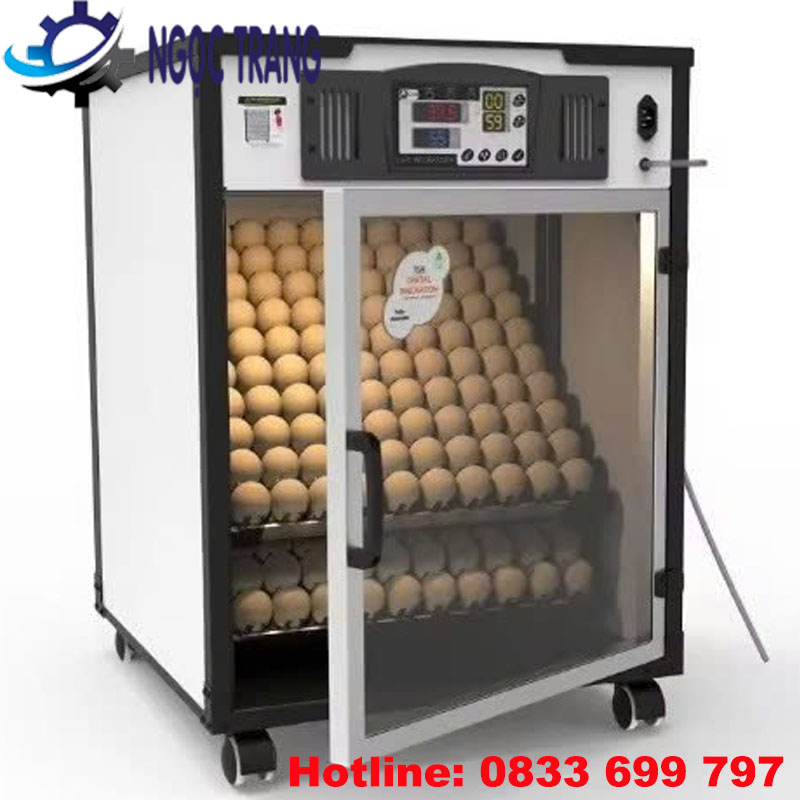 Tủ ấp trứng