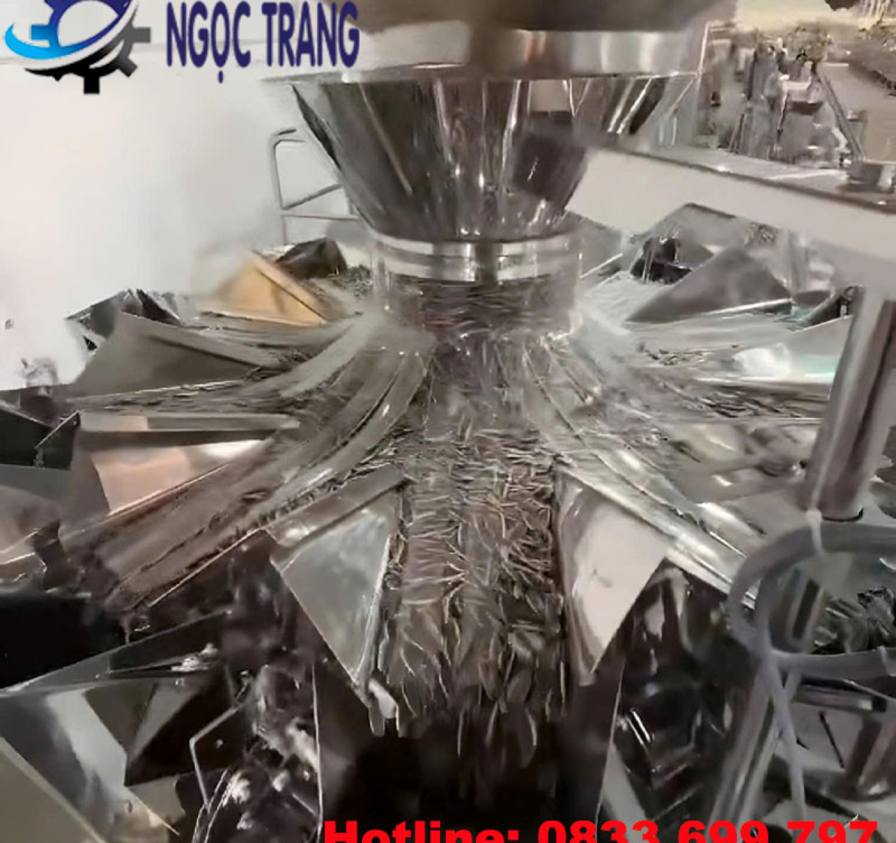 Máy đóng gói dạng hạt - Máy đóng gói hạt dưa, hạt hướng dương