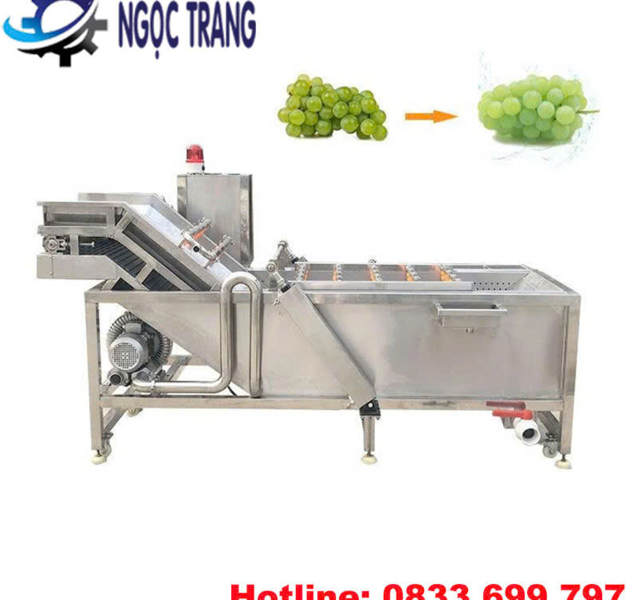 Máy rửa rau công nghiệp - Máy rửa rau củ quả, trái cây, thịt cá