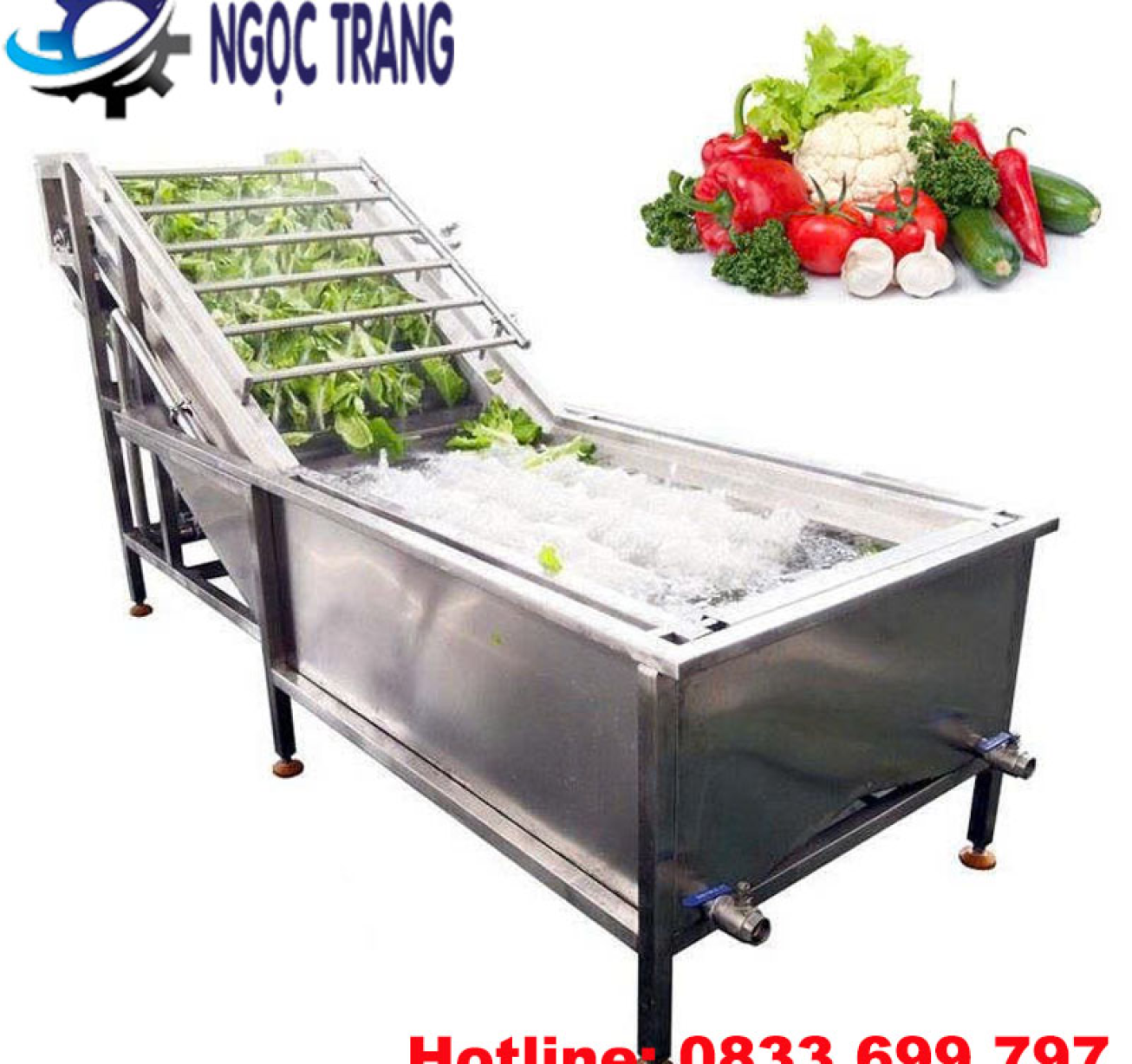 Máy rửa rau công nghiệp - Máy rửa rau củ quả, trái cây