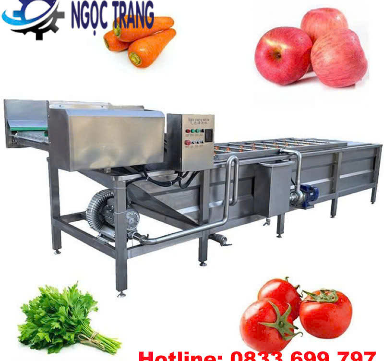 Máy rửa rau công nghiệp - Máy rửa rau củ quả, trái cây